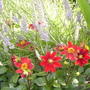 Pict0458