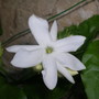 Dscn2872