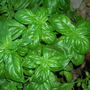 Dscn2873