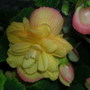 Dscn2875