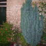 Dscn2877