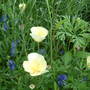 Dscf0023