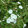 Dscf0029