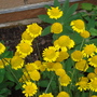 Dsc01711