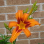 Dsc01710