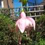Picture_391