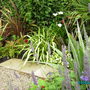 Imgp0134