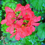 Dsc00048_edited