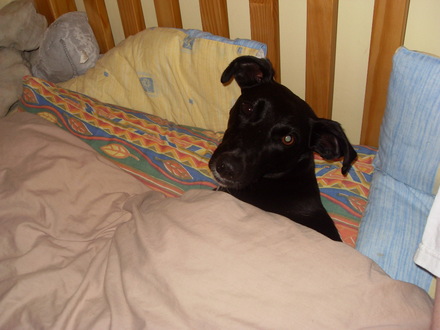 who woke me up?