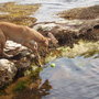 Picture_116