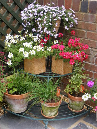 A COLOURFUL CORNER!