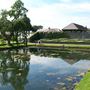 Picture_542