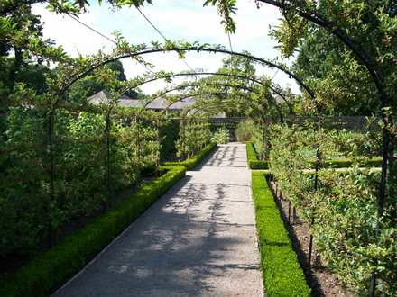 Aberglasney Gardens