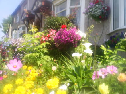 front garden