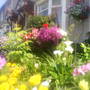 The_patch_944