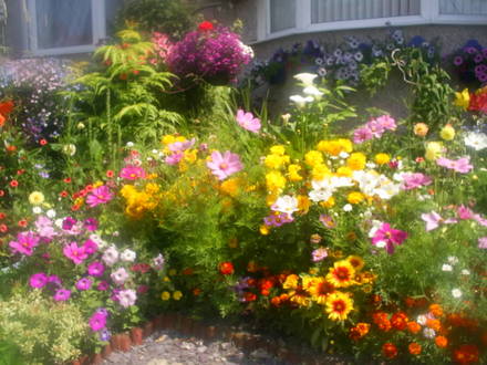 front garden