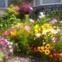 The_patch_940