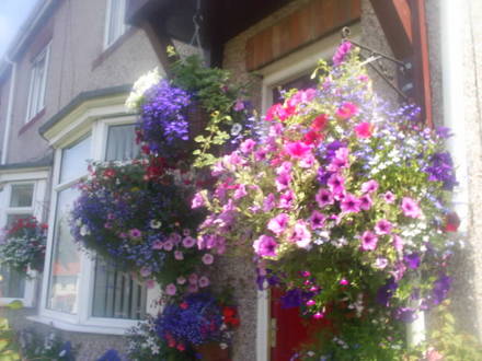 front garden