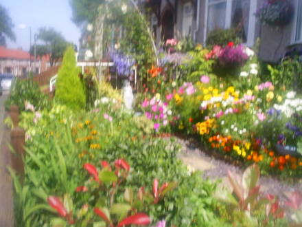 front garden