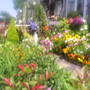 The_patch_941