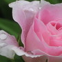 Img_3718
