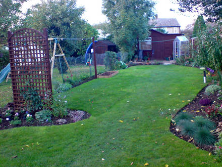 Back half of the garden