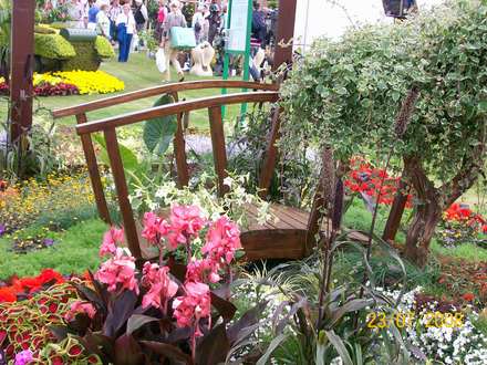 Tatton Park 2008 - RHS flower show