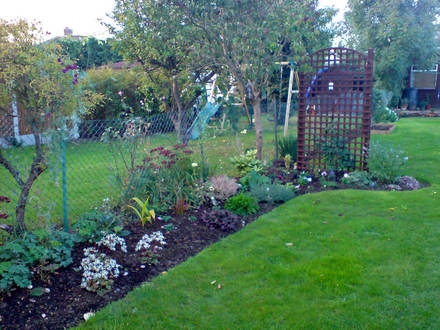 Left hand bed going into trellis bed