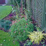 Dsc00073_edited