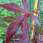 Dsc00065_edited