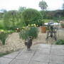 Small Patio