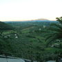 Dscn2882