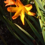 Dsc00066