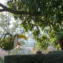Toucan planter. 