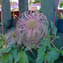 Dsc00069_edited