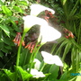 Imgp0224