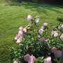 July262008_009