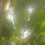 Eden Project Tropical Biome