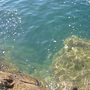 Plymouth shore line
