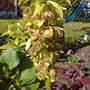 Dsc00068_edited