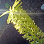 Dsc00072_edited