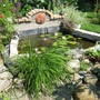 looking summery...