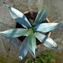 Dsc00075_edited
