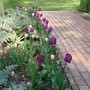 April_19th_004