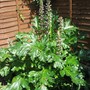Jan_pics_016