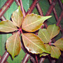 Dsc00066_edited