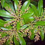 Dsc00064_edited
