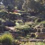 Autumn_garden