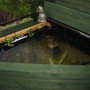 New pond