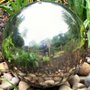 Barnsdale_07 04 07